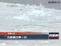 白絮飞扬 困扰市民