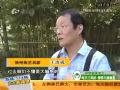 《名医堂》0915 谁偷走了你的记忆力